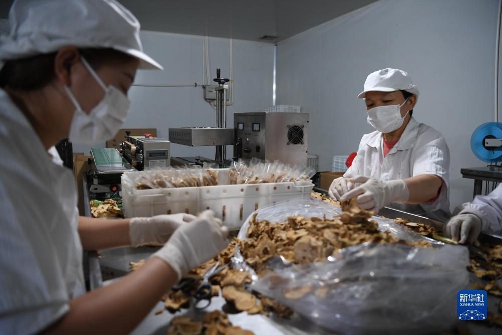 永利总站线路